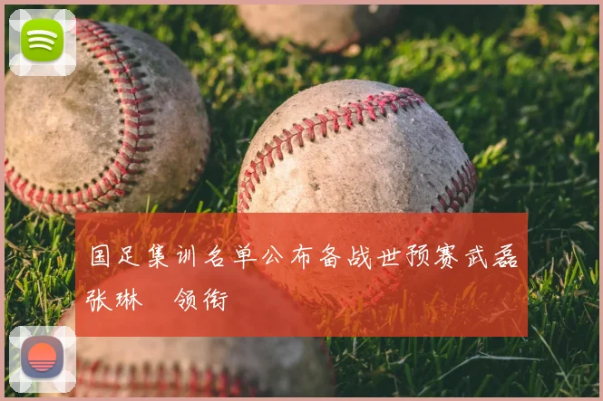 国足集训名单公布备战世预赛武磊张琳芃领衔