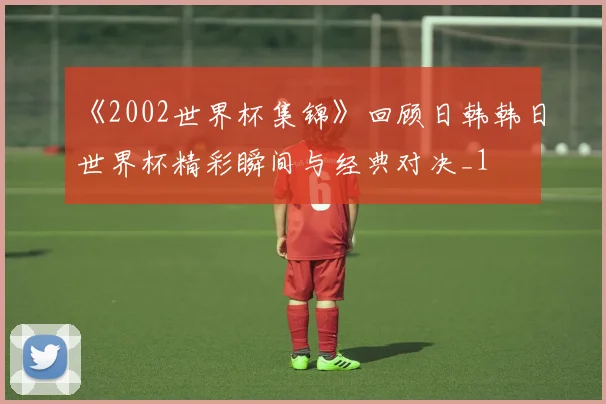 《2002世界杯集锦》回顾日韩韩日世界杯精彩瞬间与经典对决_1