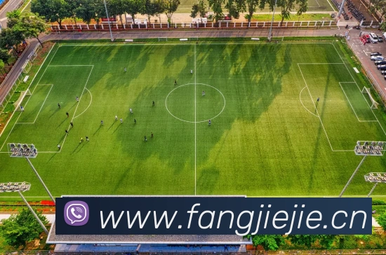 多媒体互动体验